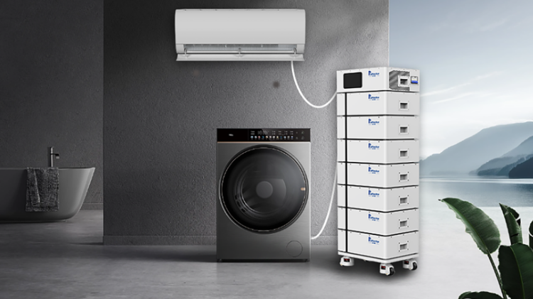 Global Energy Storage Trends: Opportunities for International Partners