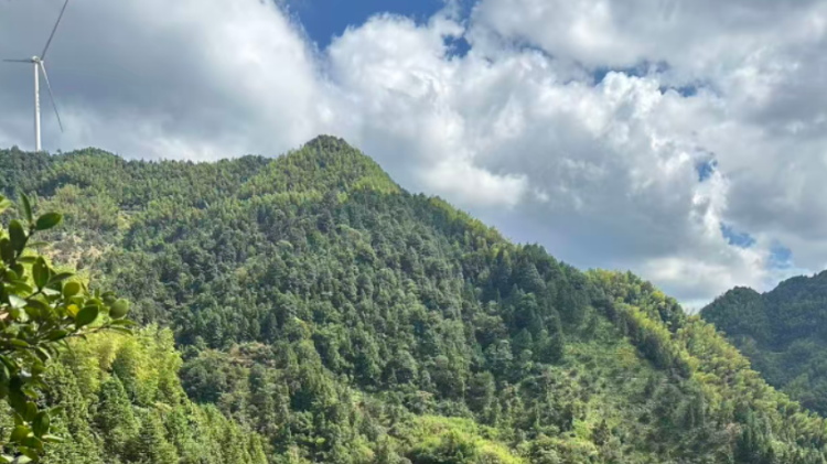 The grand global promotion of Partastar Lithium Battery Home Stor has kicked off