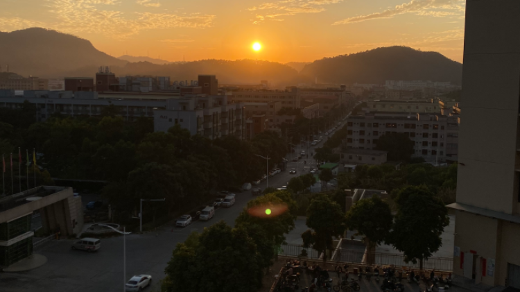 The Electric Bicycle Boom: How the Lithium Battery Sector