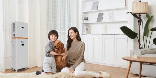 Is Lithium-ion Battery's Reign Over? Sodium & Solid-State Batterie Surge in 2025