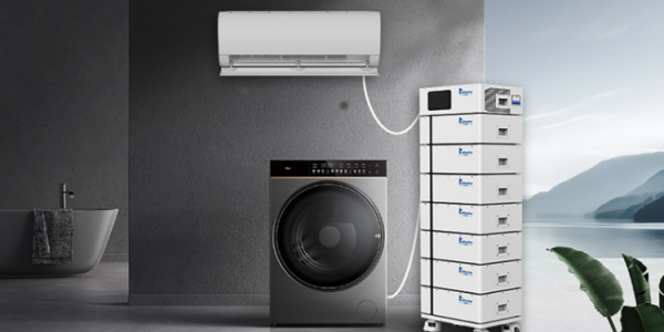 Global Energy Storage Trends: Opportunities for International Partners