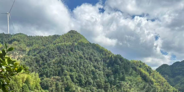 The grand global promotion of Partastar Lithium Battery Home Stor has kicked off